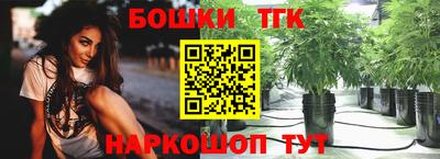 шишки Краснознаменск