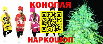 шишки Краснознаменск