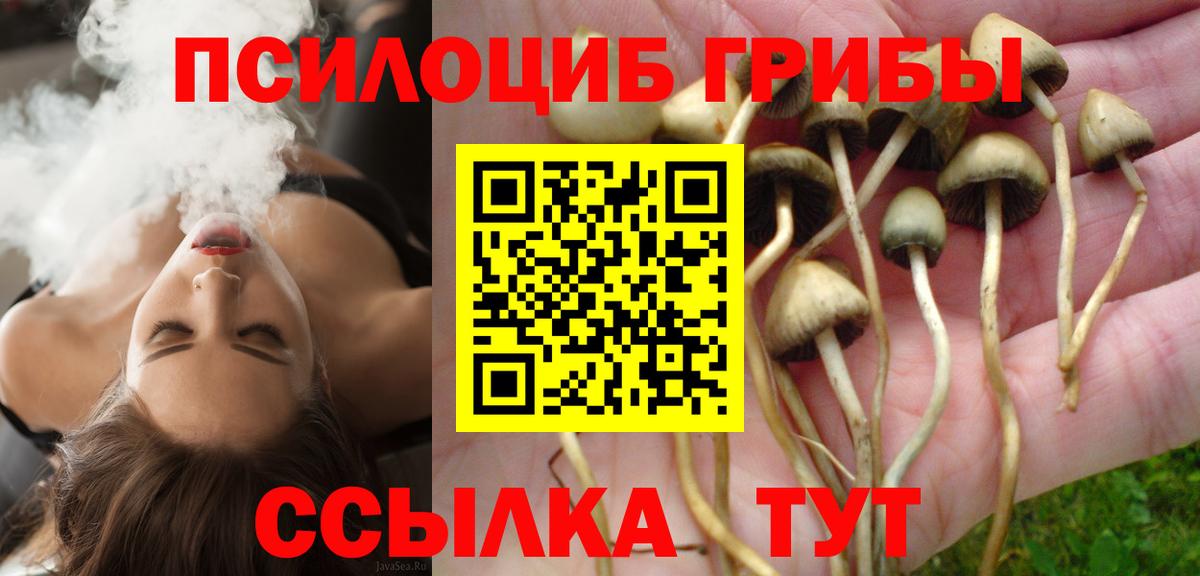 Псилоцибиновые грибы Psilocybine cubensis  сколько стоит  Вход с VPN  Комсомольск-на-Амуре  Галлюциногенные грибы Cubensis 